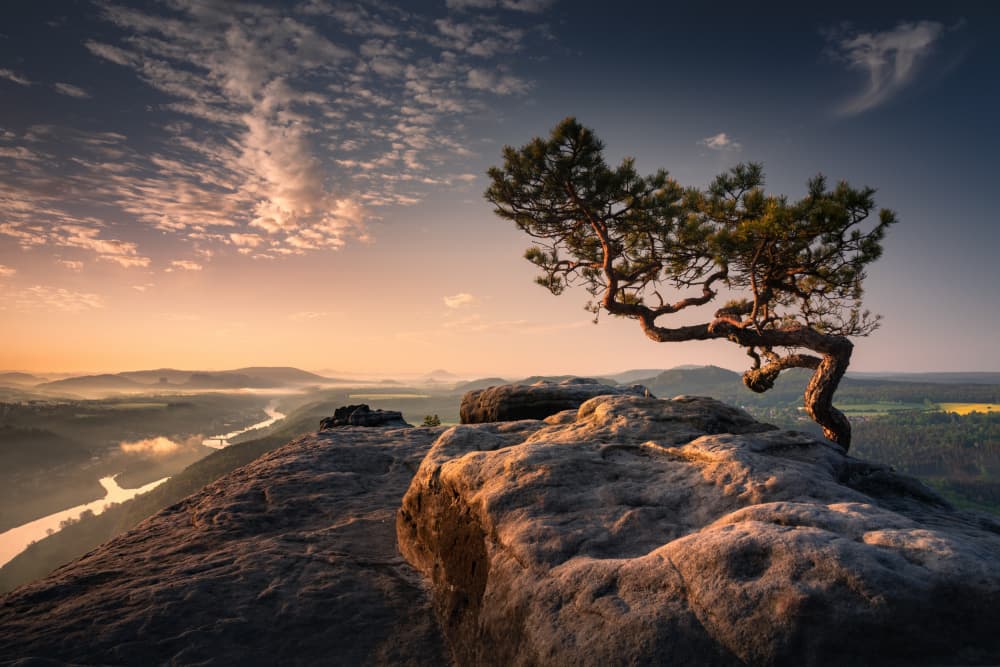 Serene Cliff Dawn by Karol Nienartowicz — canvas wall art