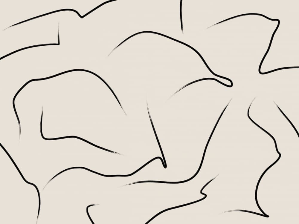 Organic Abstract Lines by Elena Ristova — canvas wall art