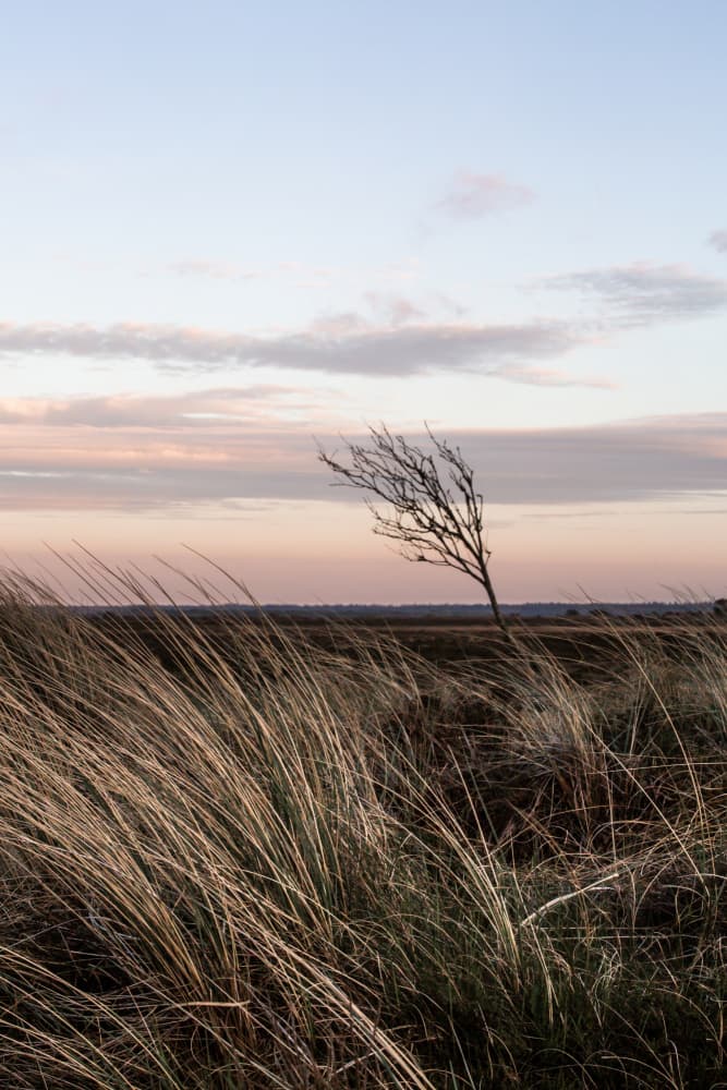 At the Coast 4 by Mareike Böhmer — canvas wall art