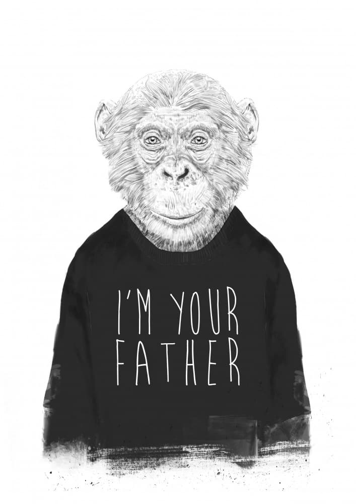 Witty Primate Father by Balazs Solti — canvas wall art