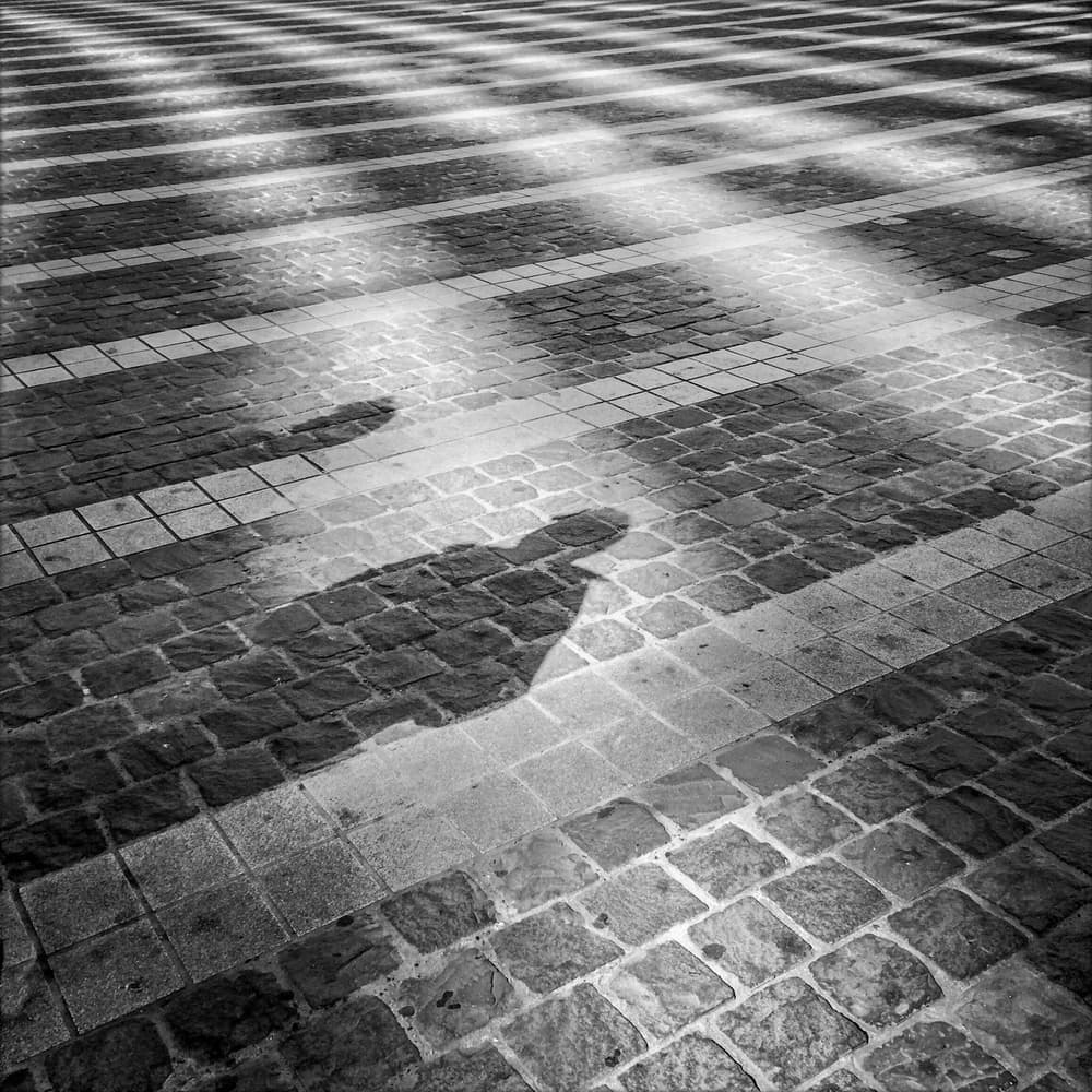 Street Shadows Walking by Hilde Ghesquiere — canvas wall art