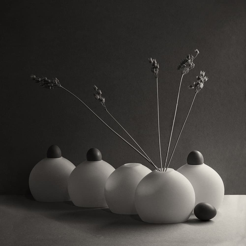 Serene Organic Still Life by Dimitar Lazarov - Dim — canvas wall art
