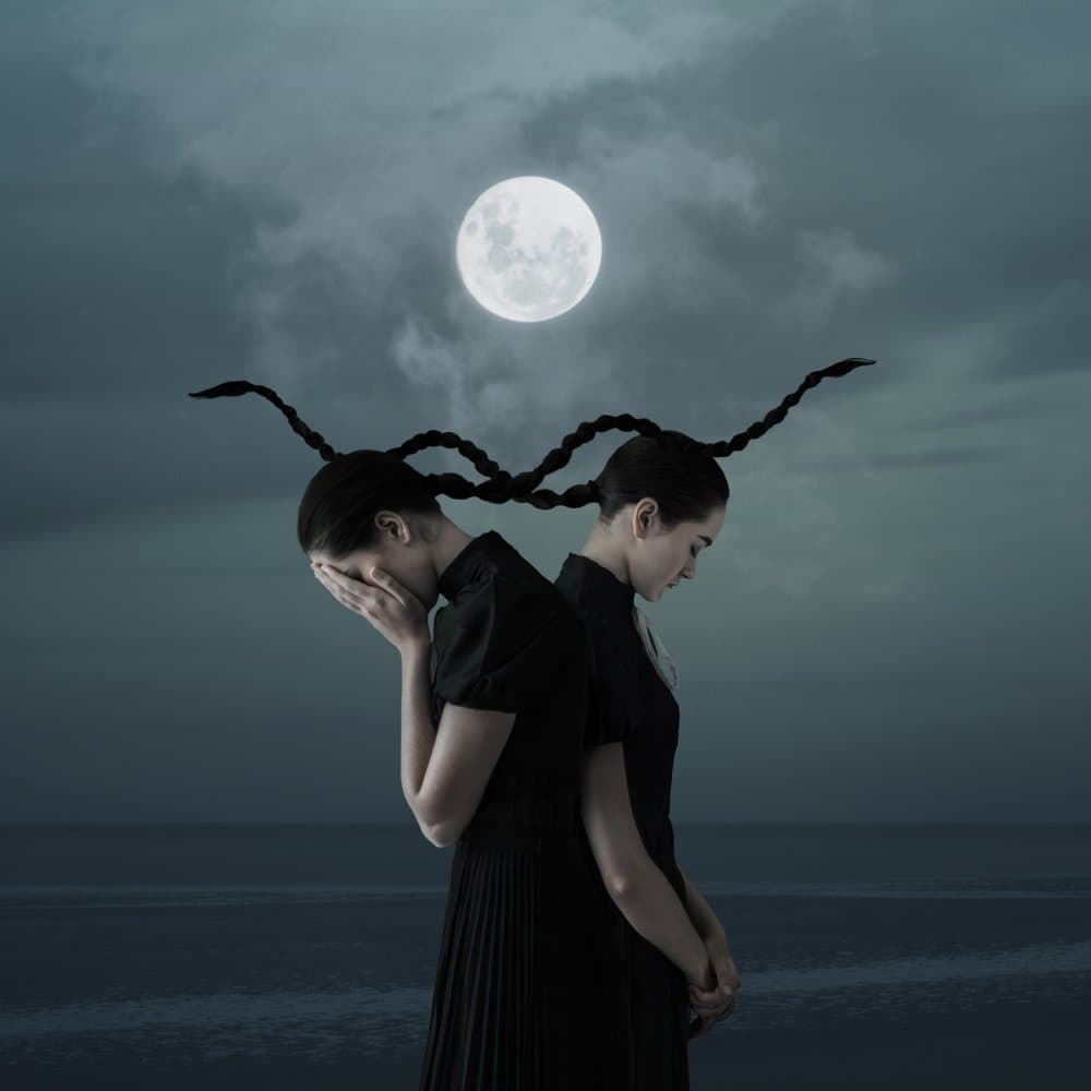 Mysterious Moonlit Twins by hardibudi — canvas wall art