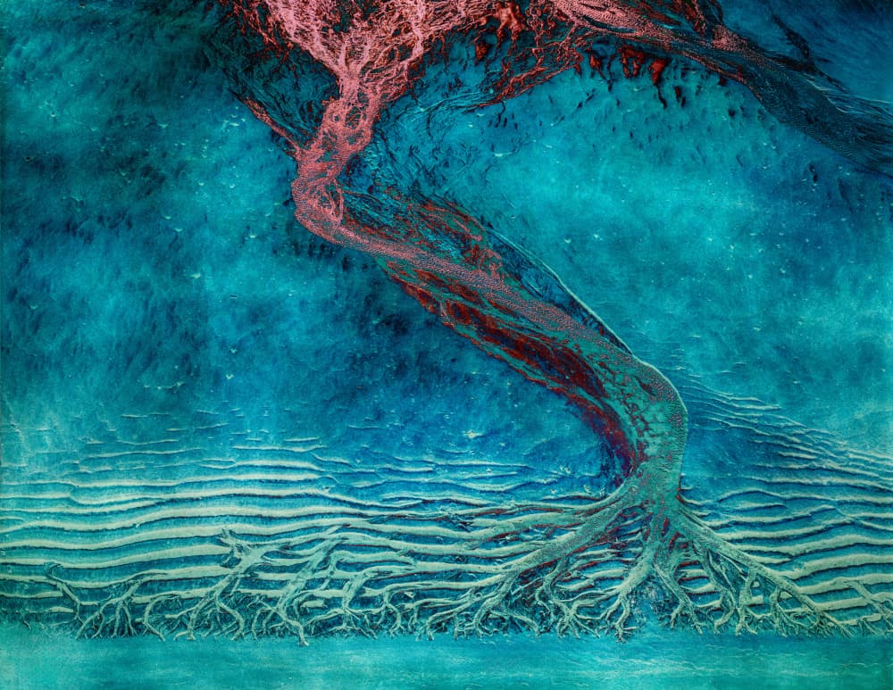 Roots of creation by Wei Xu — canvas wall art