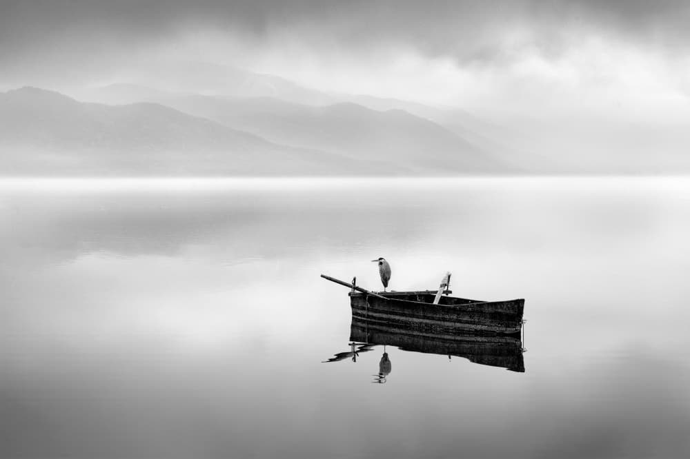 Misty Lake Solitude by George Digalakis — canvas wall art