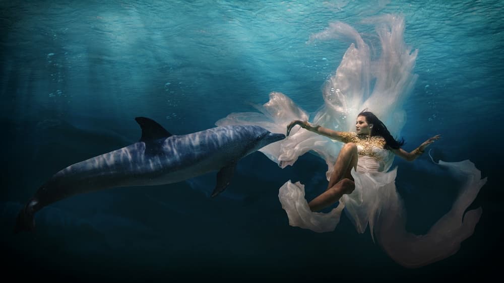 Underwater Woman and Dolphin by Martha Suherman — canvas wall art