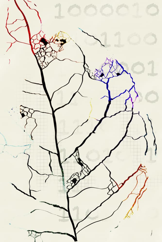 Binary Leaf Network by Ankie Kooi — canvas wall art
