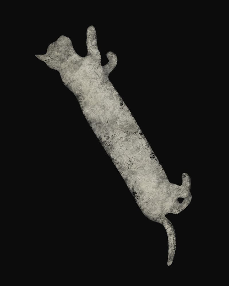 Elegant Stretching Cat by Ema Paraschiv — canvas wall art