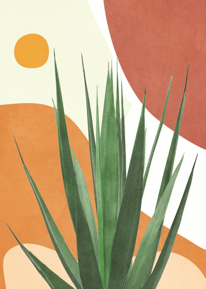 Modern Desert Agave by Flow Line — canvas wall art