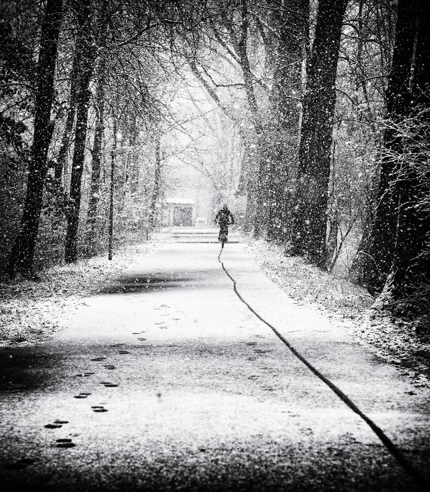 Lone Cyclist Winter Path by Jürgen Hartlieb — canvas wall art