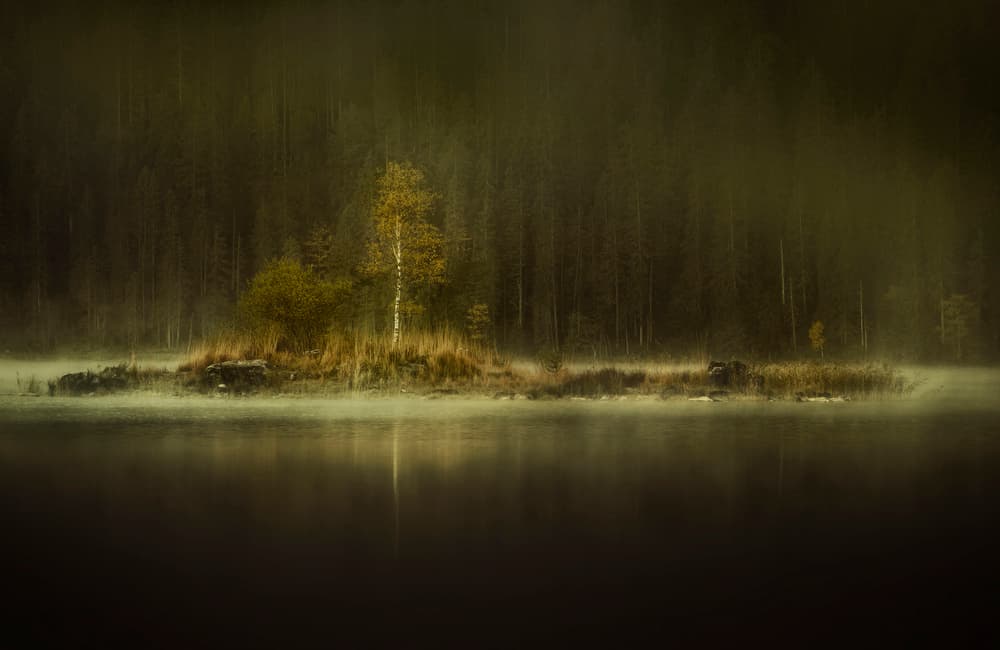 Misty Island Reflection by Norbert Maier — canvas wall art