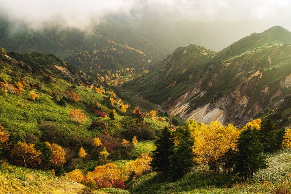 Vibrant Autumn Mountains by Yuusuke Hisamitsu — canvas wall art