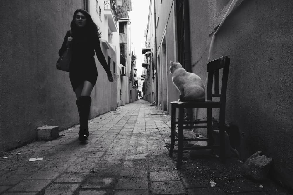 Urban Alley Encounter by Ali Ayer — canvas wall art