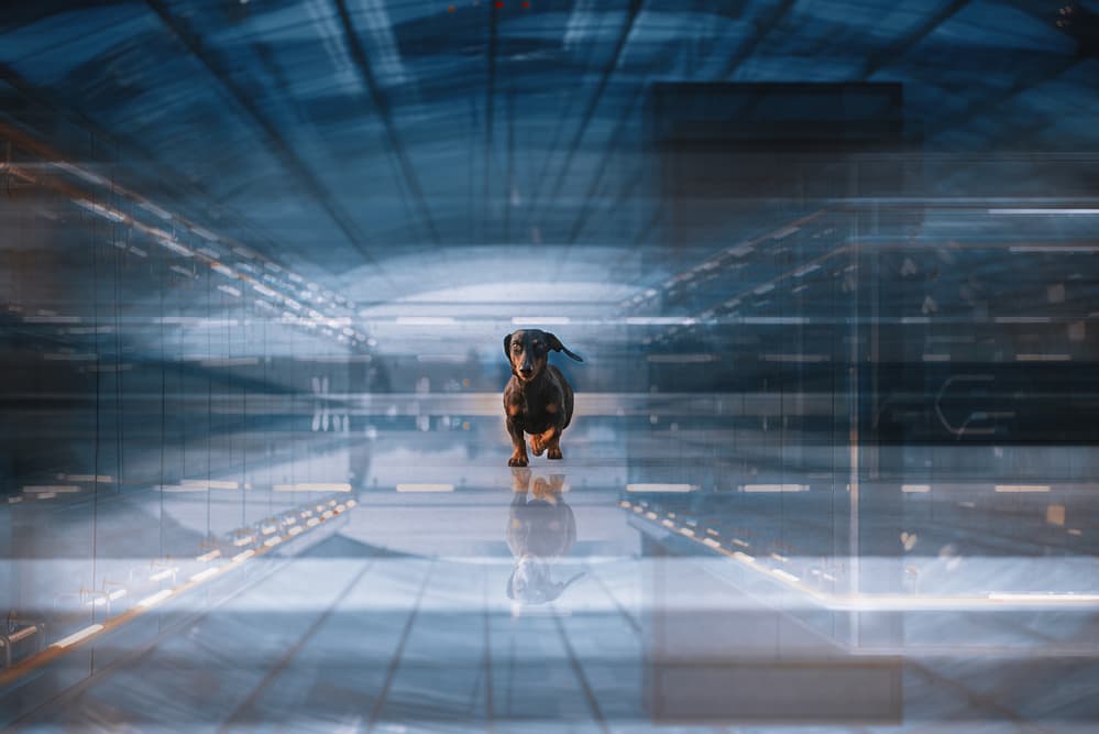 Running Dachshund Futuristic Tunnel by Heike Willers — canvas wall art
