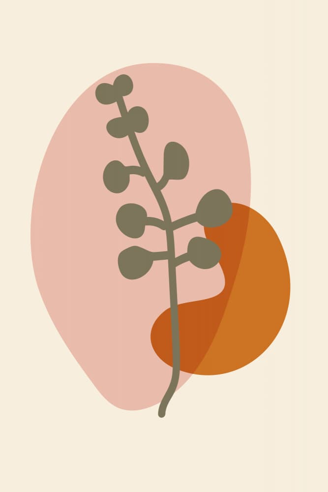 Boho Botanical Shapes by Dina Dankers — canvas wall art