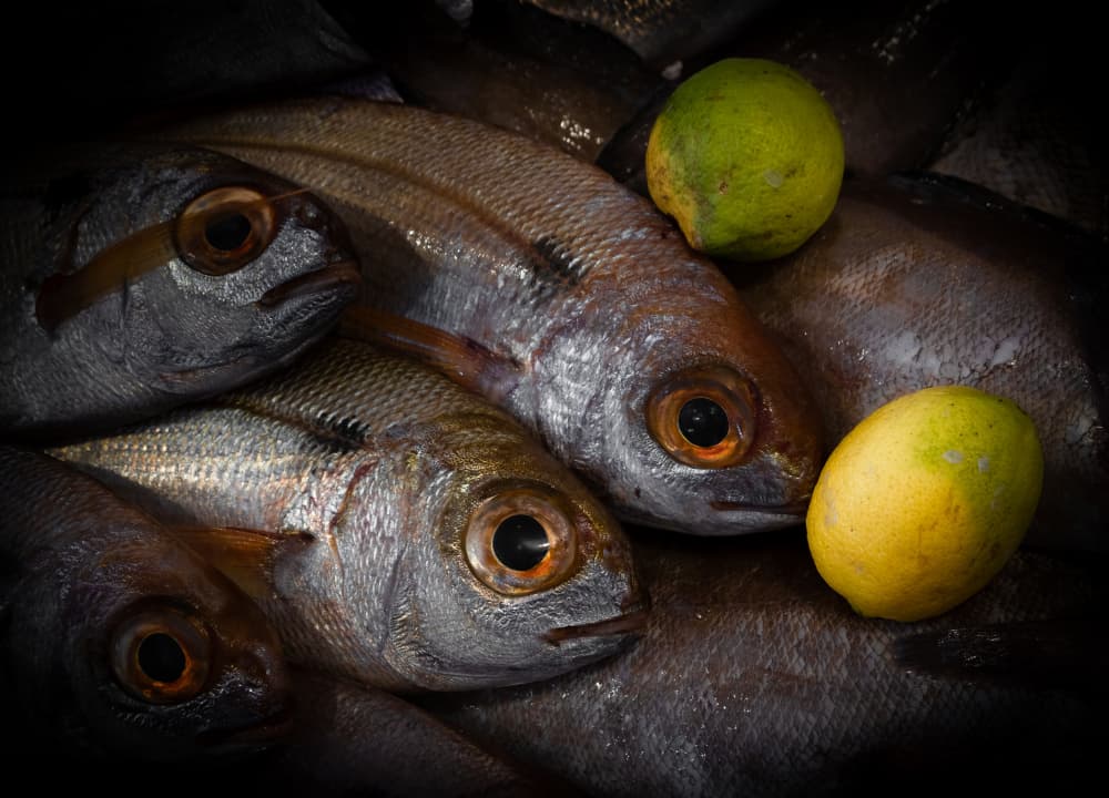 Fresh Fish and Citrus by Ilze Ozola — canvas wall art