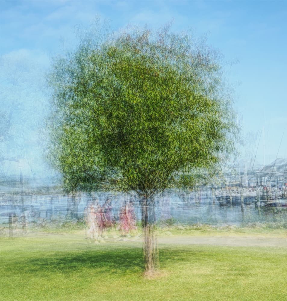 Impressionistic Park View by Gregor Szalay — canvas wall art