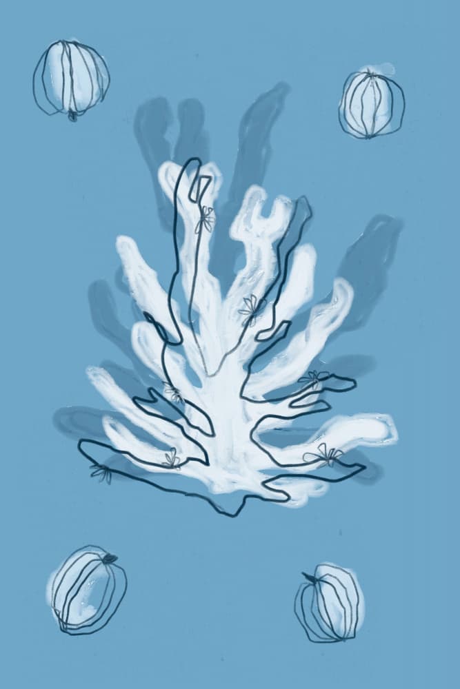 Maritimeimpression by Treechild — canvas wall art