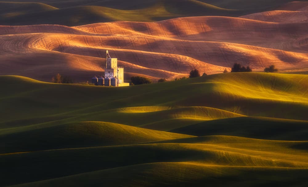 Rolling Hills Glow by James Lu — canvas wall art