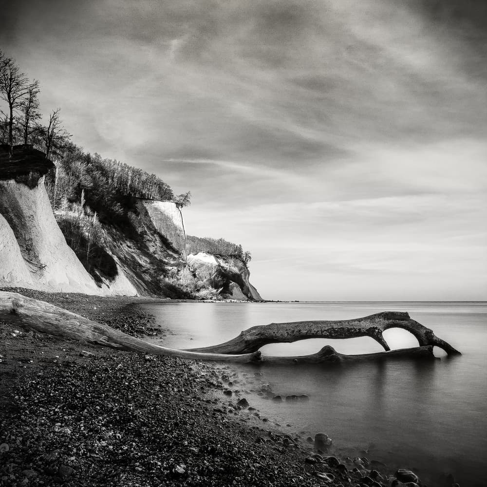 Chalk Cliffs Ocean Driftwood by Mari O` Benz — canvas wall art