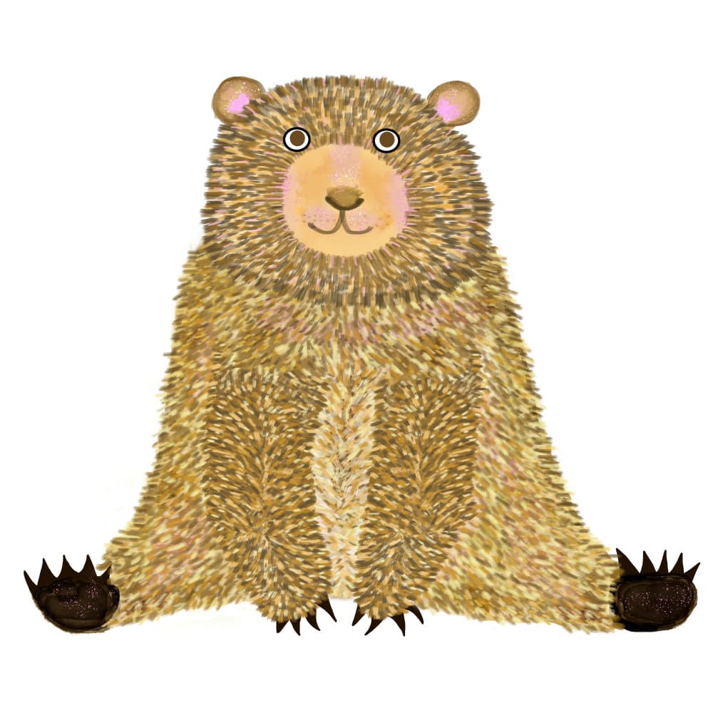 Cute Fluffy Bear by Lynnda Rakos — canvas wall art