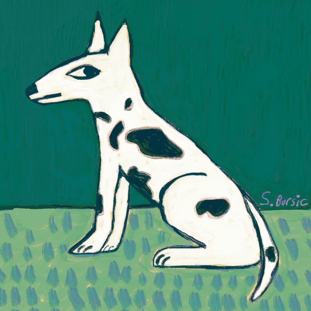 Alert Spotted Terrier by Sharyn Bursic — canvas wall art