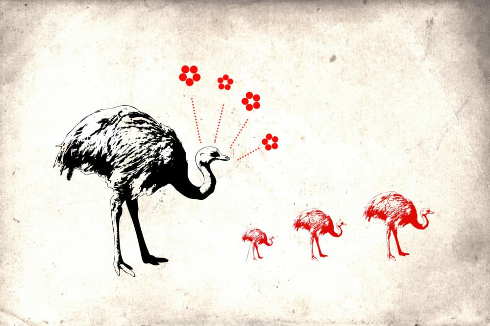 Whimsical Ostrich Family by Rafal Kulik — canvas wall art