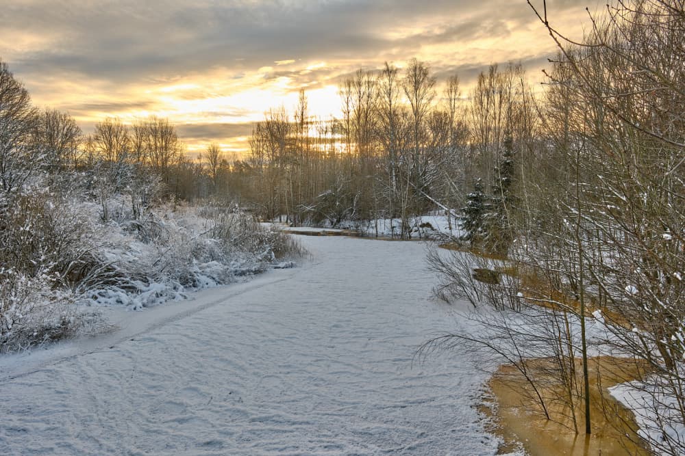 Golden Winter River by Geertjan Plooijer — canvas wall art