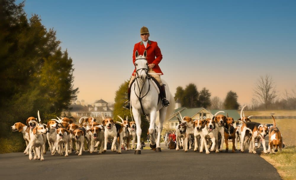Classic Fox Hunt by Rong Wei — canvas wall art