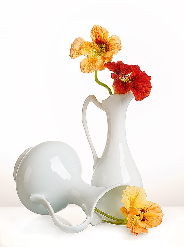 Nasturtium Pitchers Still Life by Aida Ianeva — canvas wall art