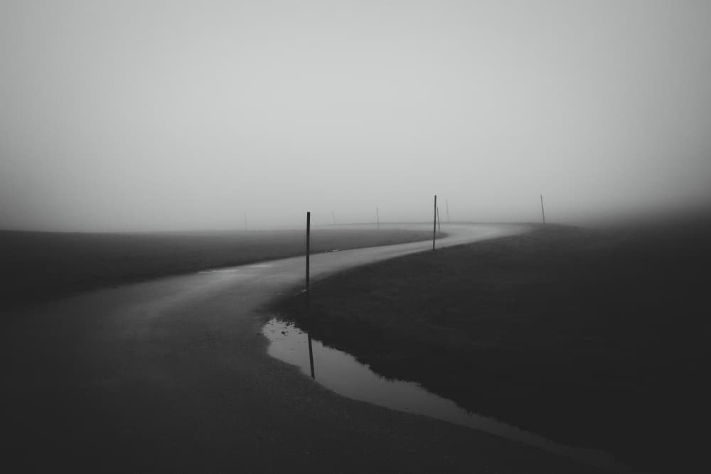 Winding Foggy Road by Renate Wasinger — canvas wall art