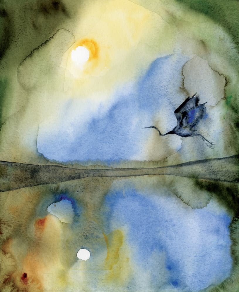 Ethereal Bird Reflection by RodMacIver — canvas wall art