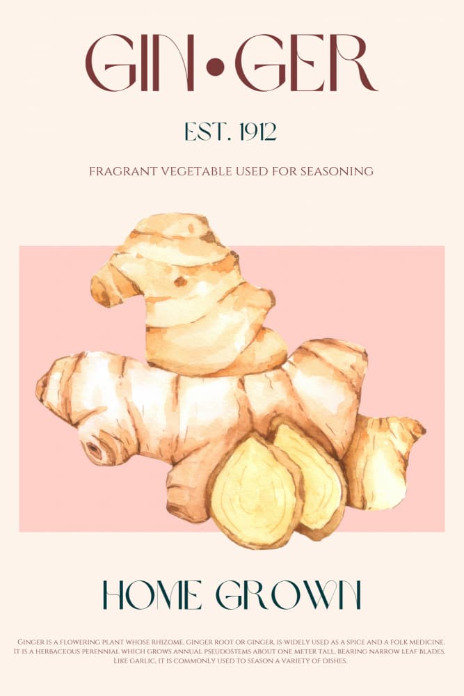 Home Grown Ginger by Nazma Khokhar — canvas wall art