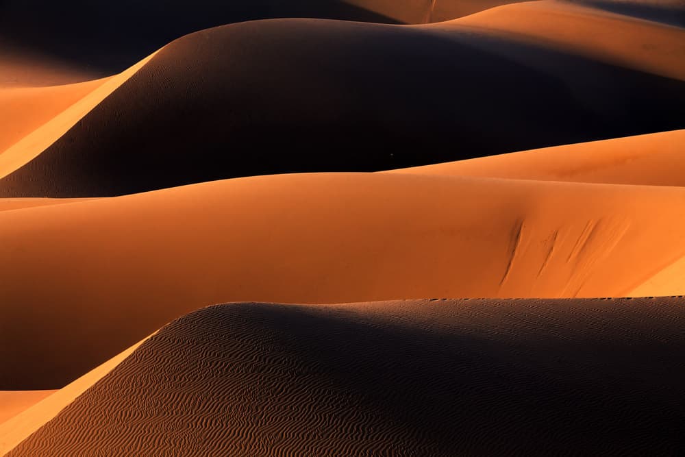 Golden Desert Dunes by Mohammadreza Momeni — canvas wall art