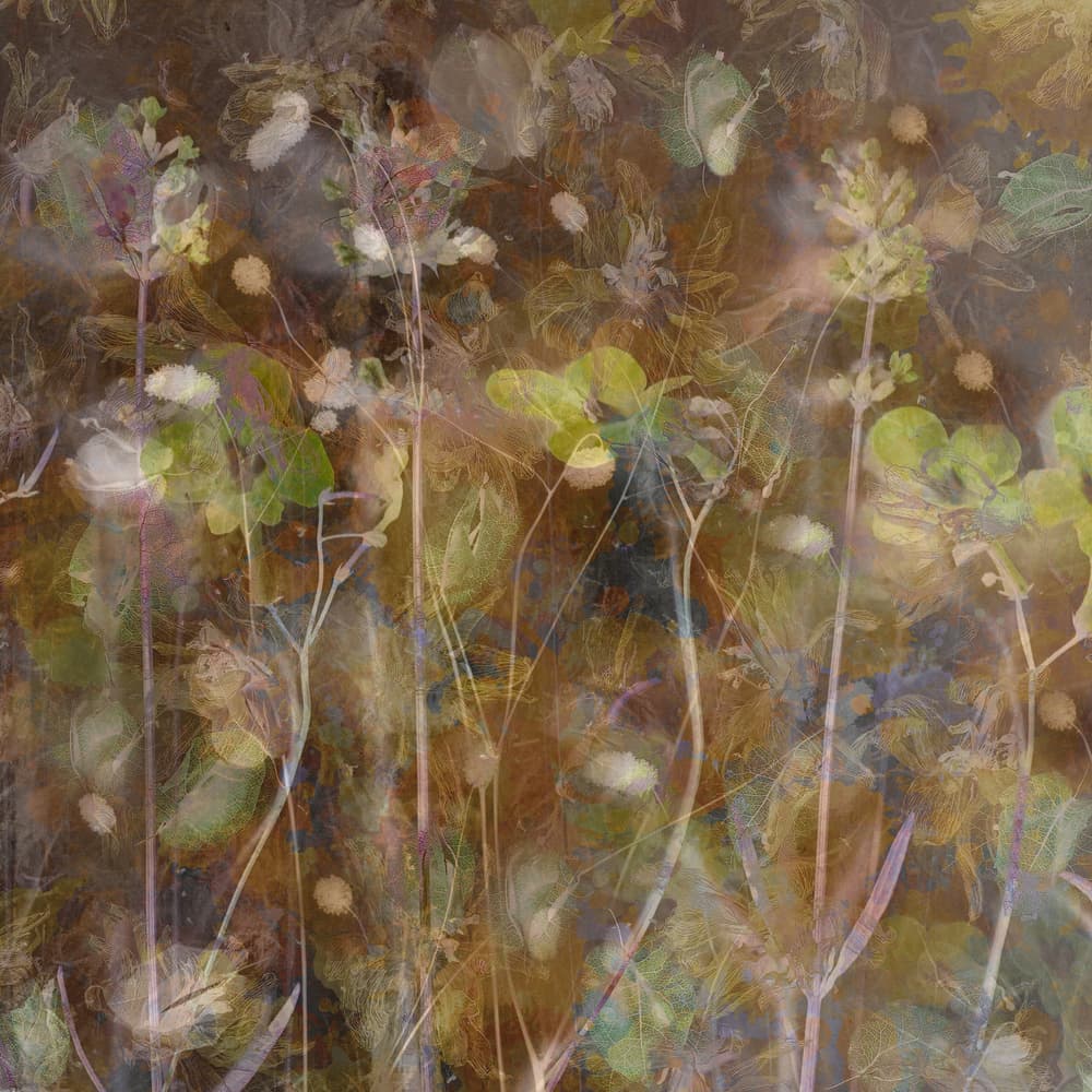 Ethereal Botanical Garden by Saskia Dingemans — canvas wall art