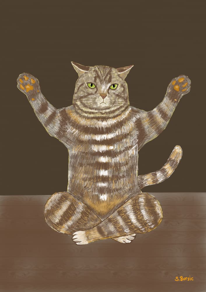 Zen Tabby Cat by Sharyn Bursic — canvas wall art