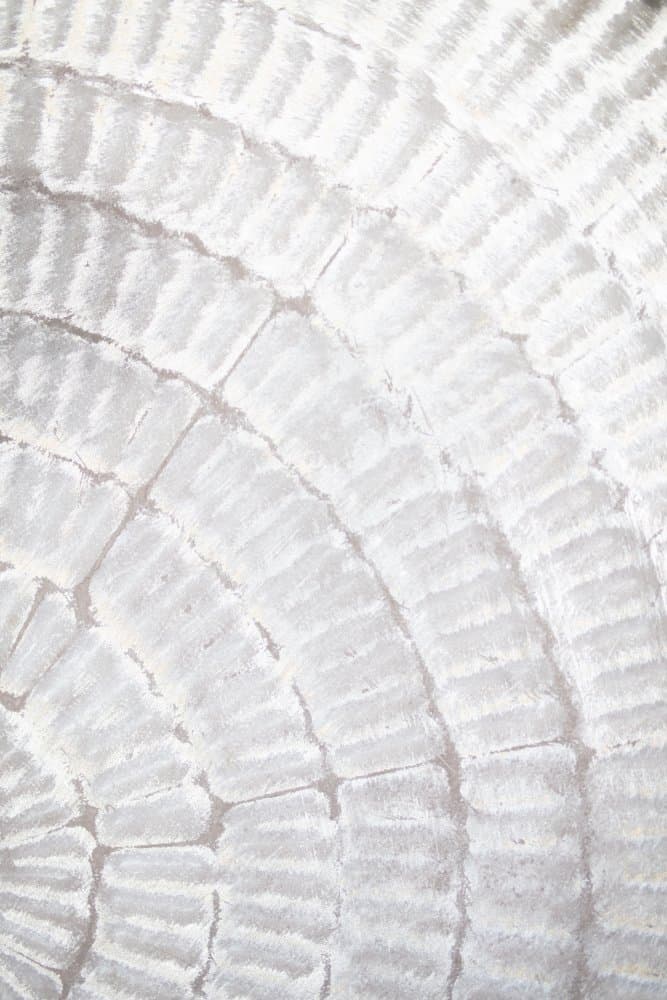 White Abstract Texture by Pictufy Studio III — canvas wall art
