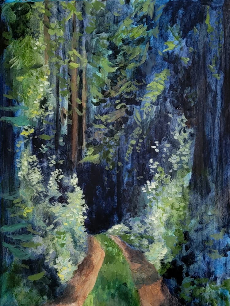 Sunlit Forest Path by Claire Whitehead — canvas wall art
