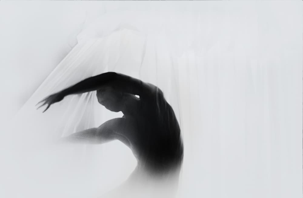 Fluid Form Dance by Babak Haghi — canvas wall art