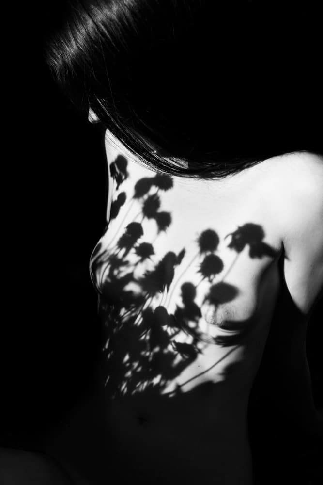 Body in Floral Shadow by Mikhail Faletkin — canvas wall art