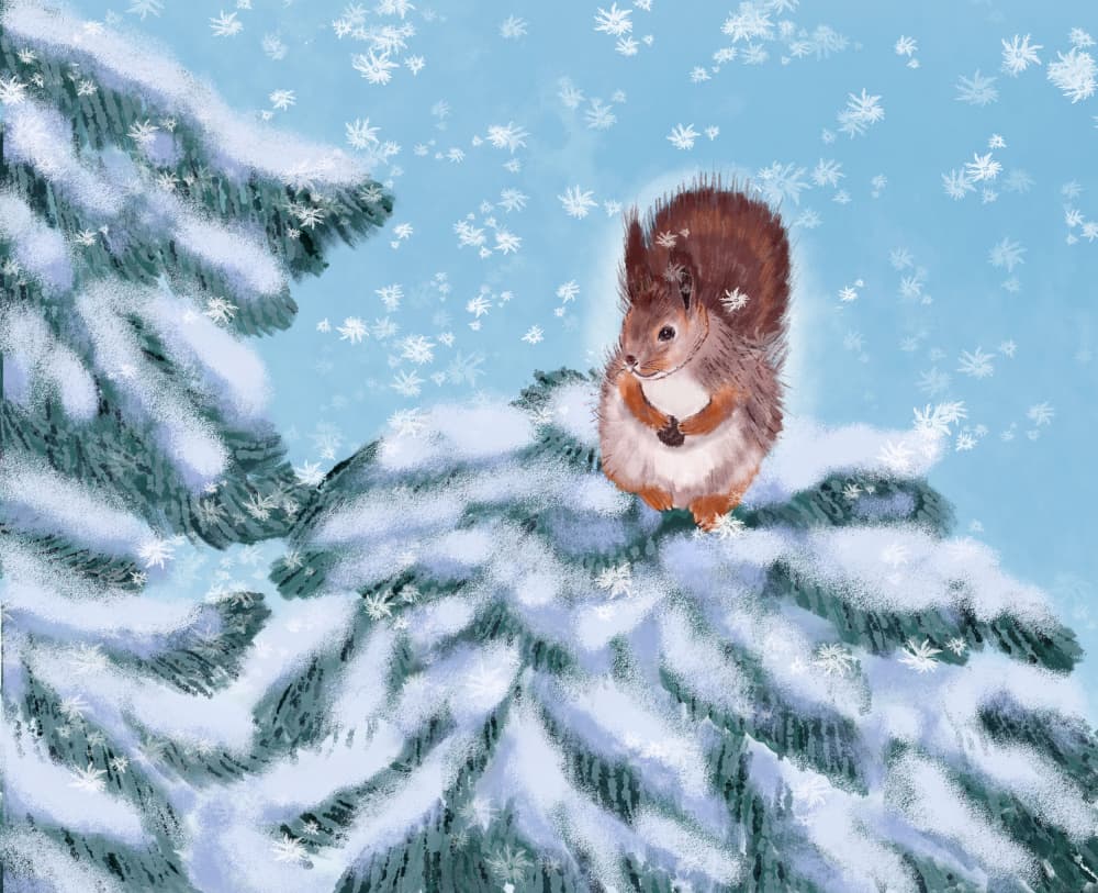 Snowy Forest Squirrel by Aliya Putrus — canvas wall art
