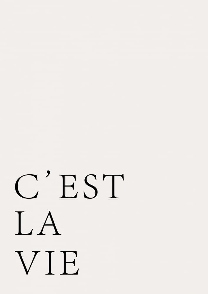 Elegant C'est La Vie by Aislinn Simmonds — canvas wall art