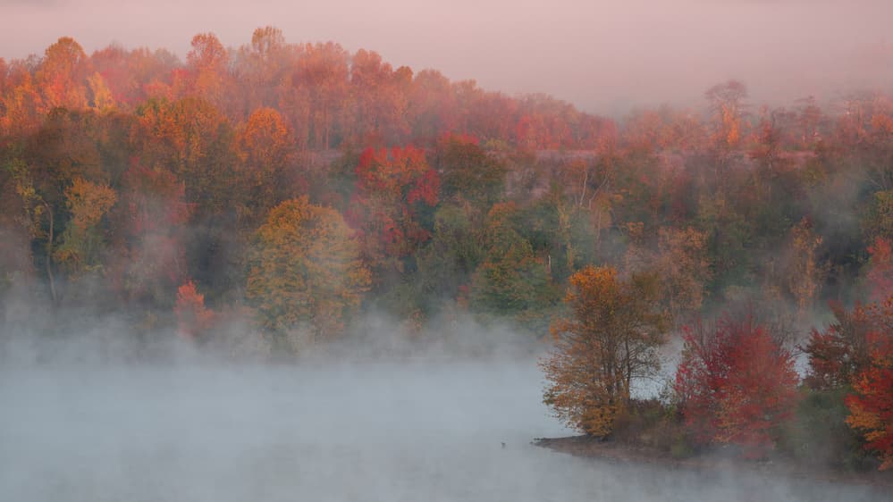 Misty Autumn Morning Lake by 李从军 / Austin Li — canvas wall art
