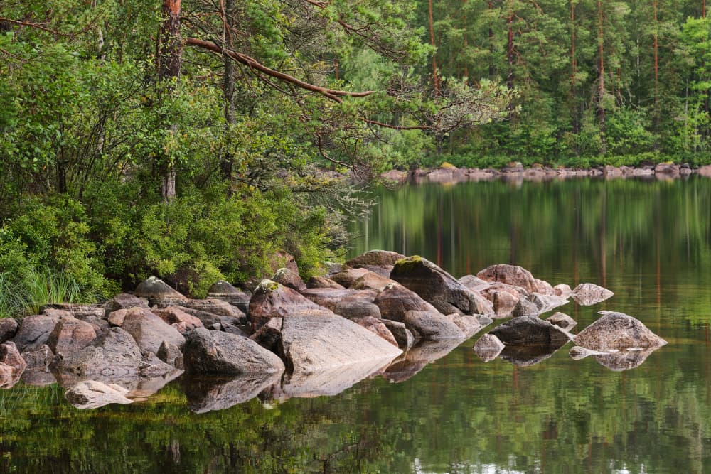 Forest Lake Reflections by Geertjan Plooijer — canvas wall art
