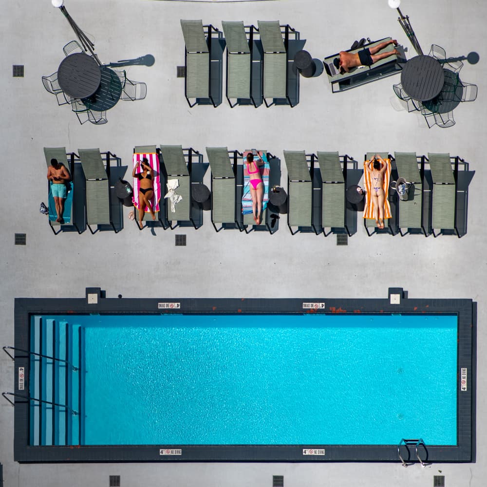 Pool TV by Marek Lapa — canvas wall art