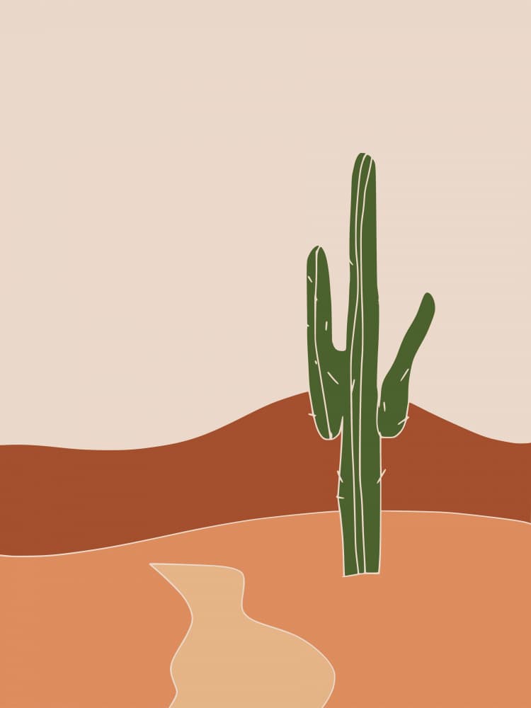 Southwest Cactus Desert by Little Dean — canvas wall art