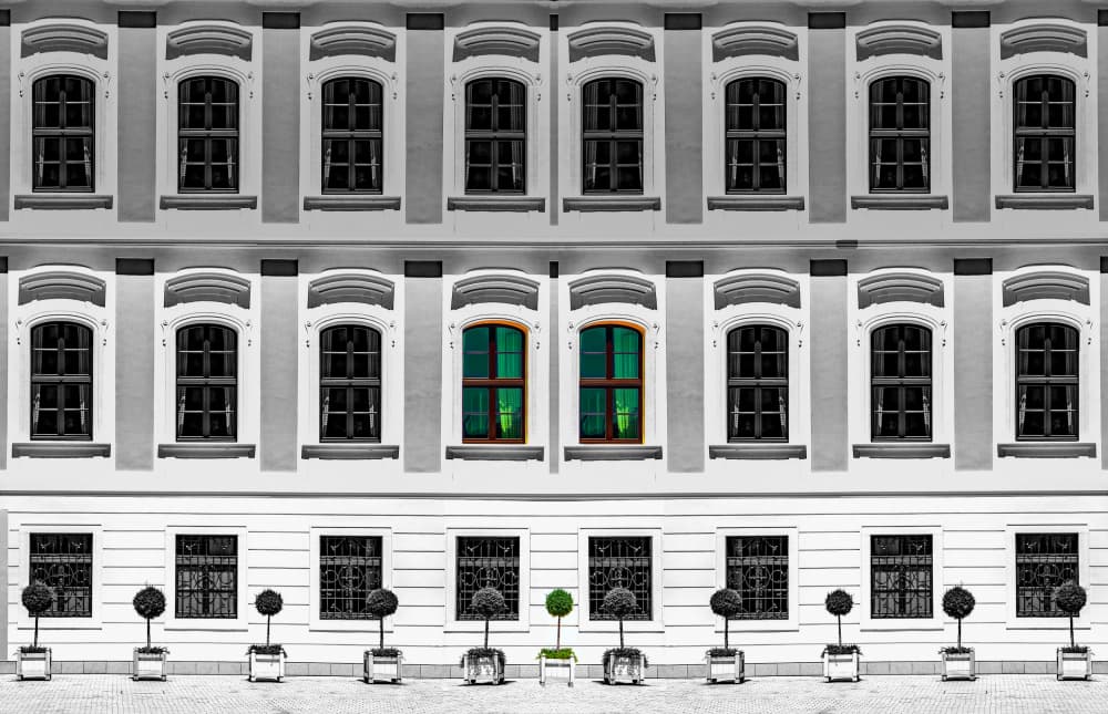 Elegant Green Windows by Miro Susta — canvas wall art