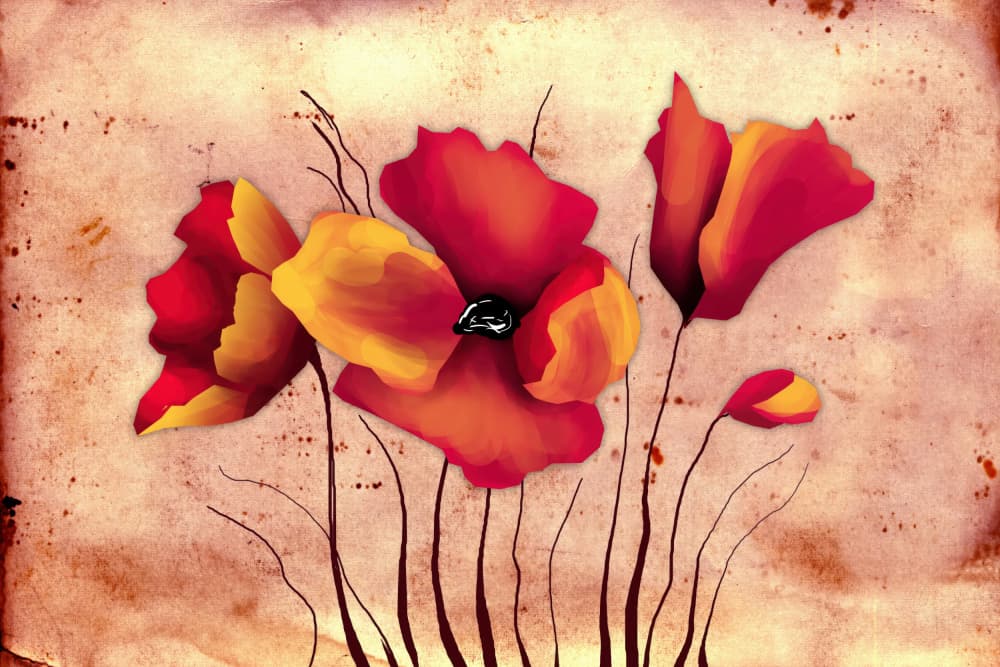 Vibrant Vintage Poppies by Rafal Kulik — canvas wall art