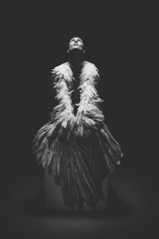 Ethereal Feathered Gaze by Marko Dasic — canvas wall art