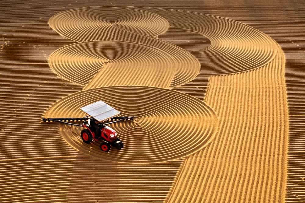 Field of Patterns by Nese Ari — canvas wall art